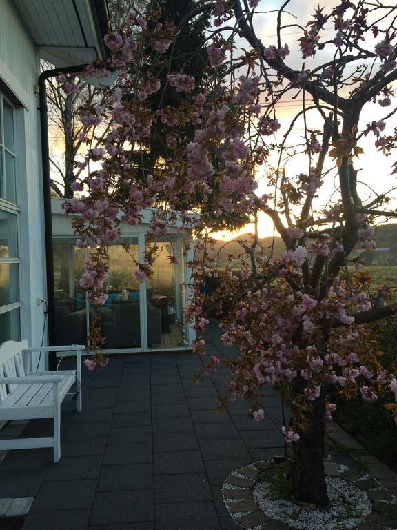 Cafe Torpet B&B Skepplanda 外观 照片