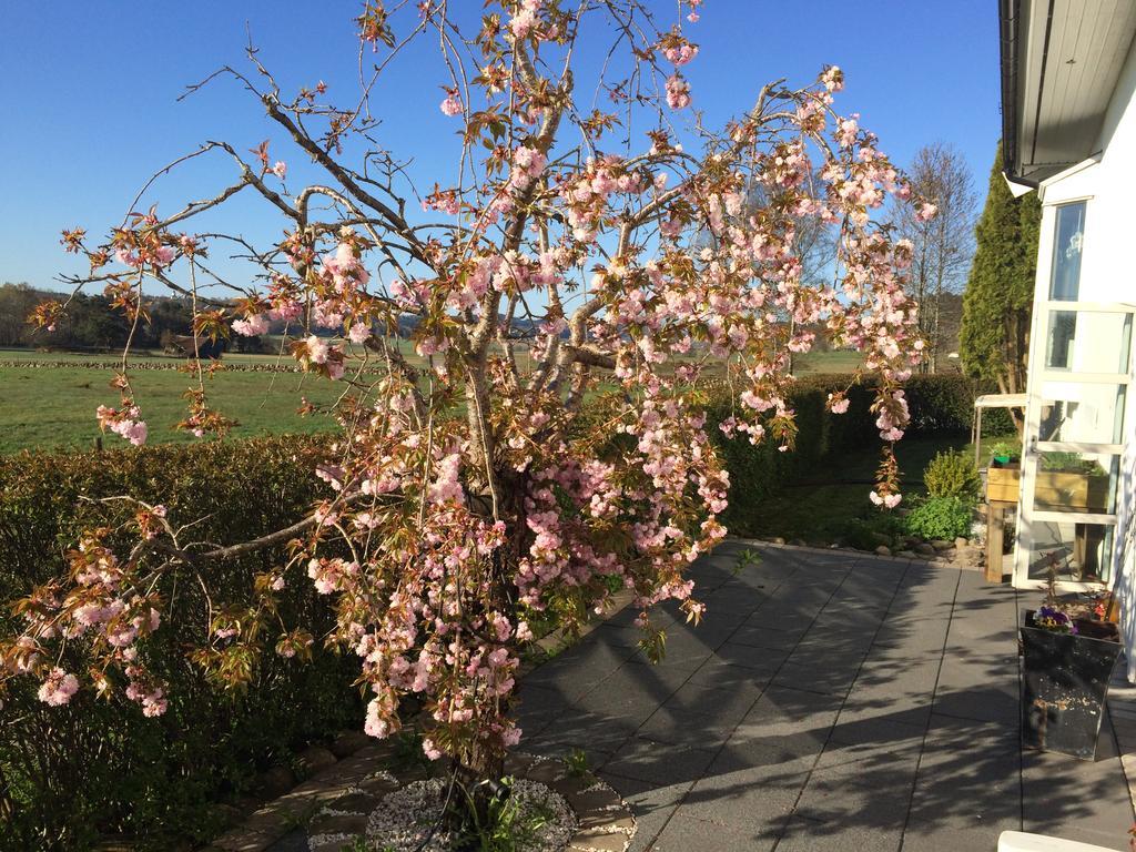 Cafe Torpet B&B Skepplanda 外观 照片